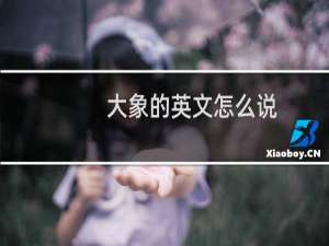大象的英文怎么说