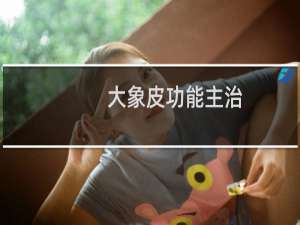 大象皮功能主治（大象皮）