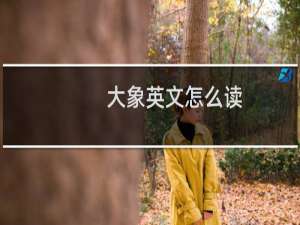 大象英文怎么读