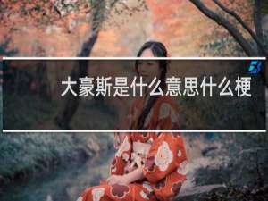 大豪斯是什么意思什么梗