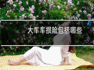 大车车损险包括哪些