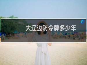 大辽边防令牌多少年