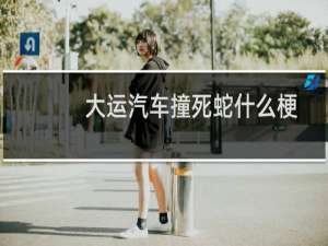 大运汽车撞死蛇什么梗