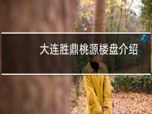 大连胜鼎桃源楼盘介绍