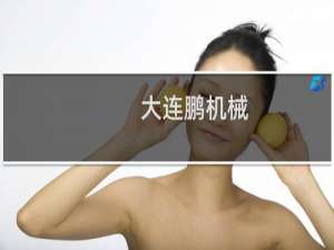 大连鹏机械
