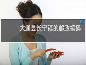 大通县长宁镇的邮政编码是多少