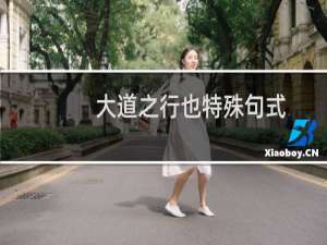 大道之行也特殊句式