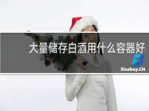 大量储存白酒用什么容器好