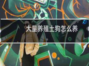 大量养殖土狗怎么养