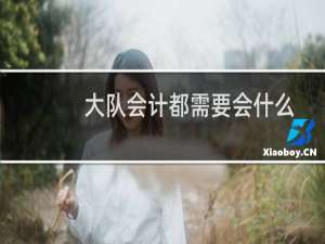 大队会计都需要会什么