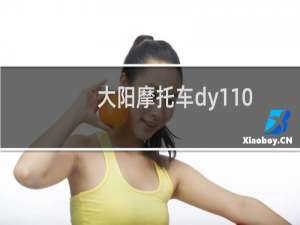 大阳摩托车dy110