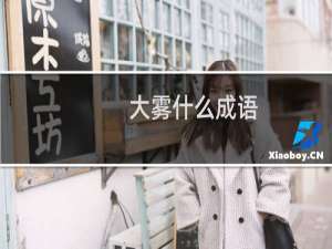大雾什么成语