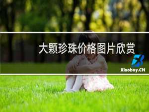 大颗珍珠价格图片欣赏