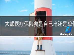 大额医疗保险费是自己出还是单位出