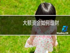 大额资金如何理财
