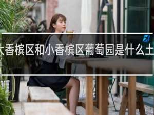 大香槟区和小香槟区葡萄园是什么土质类型