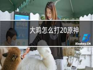 大鸡怎么打 原神