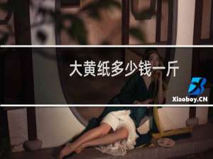 大黄纸多少钱一斤