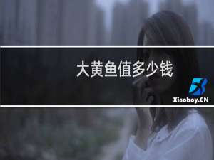 大黄鱼值多少钱