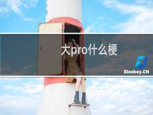 大pro什么梗