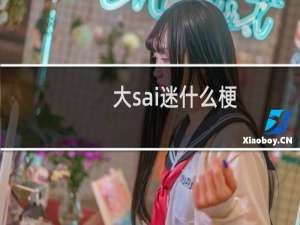 大sai迷什么梗，大sai迷是什么意思？什么梗