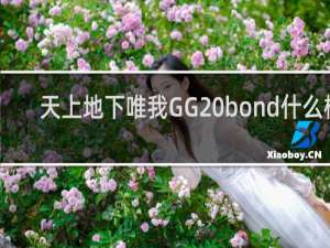 天上地下唯我GG bond什么梗