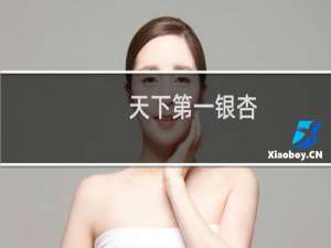 天下第一银杏
