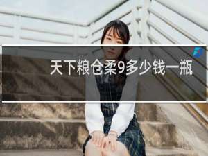 天下粮仓柔9多少钱一瓶