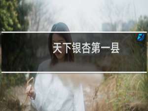 天下银杏第一县