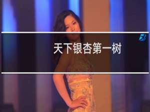 天下银杏第一树
