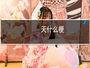 天什么梗