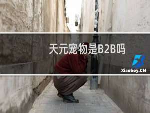 天元宠物是B2B吗