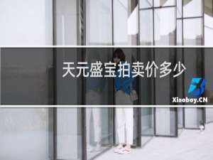 天元盛宝拍卖价多少