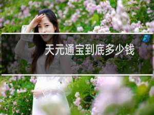 天元通宝到底多少钱