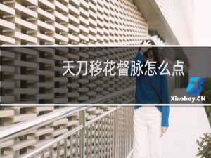 天刀移花督脉怎么点