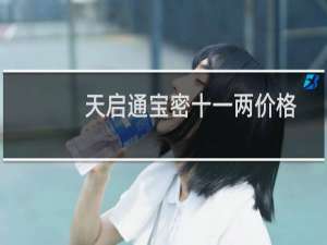 天启通宝密十一两价格