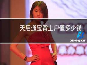 天启通宝背上户值多少钱