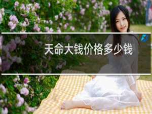 天命大钱价格多少钱