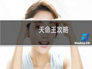 天命王攻略