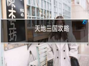 天地三国攻略