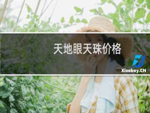 天地眼天珠价格