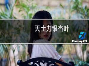 天士力银杏叶