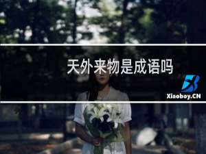 天外来物是成语吗