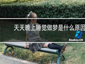 天天晚上睡觉做梦是什么原因