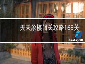 天天象棋闯关攻略163关