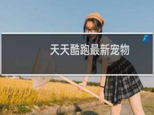 天天酷跑最新宠物