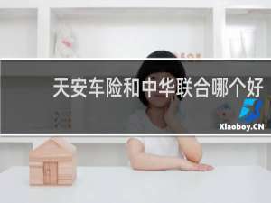 天安车险和中华联合哪个好