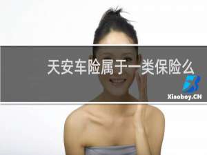 天安车险属于一类保险么