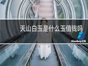 天山白玉是什么玉值钱吗