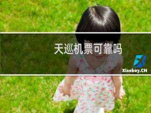天巡机票可靠吗